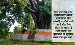 आधुनिक विकासको निसानामा इतिहासकालीन चौतारी