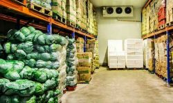 किसानको उत्पादन सङ्कलन केन्द्रमा