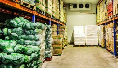 चिस्यान केन्द्र निर्माण गर्दै तनहुँका स्थानीय तह