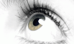 सुक्खा आँखाको समस्या बढ्दो, सावधानी अपनाउन सुझाव