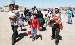 चौहत्तर ७४ हजार अफगानी शरणार्थी स्वदेश फिर्ता