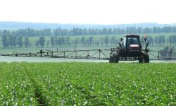 रासायनिक मलः मलखादको चर्को भाउले संसारभरि किसानहरू चिन्तामा, विकल्प छ ?