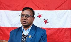 काँग्रेस बलियो भए लोकतन्त्रको संस्थागत विकास हुन्छ : सहमहामन्त्री पाण्डे