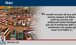 महानगरको निर्णय र सवारीसाधन व्यवस्थापनमा समस्या