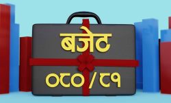 चार सय ४६ पालिकाले ल्याए बजेट