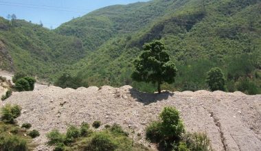 नवलपुरलाई चुरे र मध्यवर्ती क्षेत्रबाट हटाउन माग