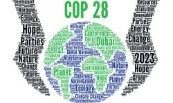 युएई राष्ट्रपतिले पठाए इराकका राष्ट्रपतिलाई कोप-२८ को आधिकारिक निमन्त्रणा