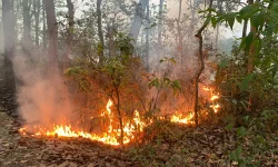 डढेलोले पाइप जलेपछि खानेपानीको समस्या