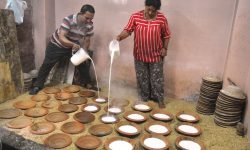 व्यवसायीलाई ‘जुजु धौ’को माग धान्ने चटारो