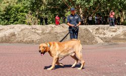 बेपत्ता खोज्दै मोति र पिक्कु