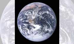 पृथ्वी अर्को सामूहिक विलुप्तिको क्रममा