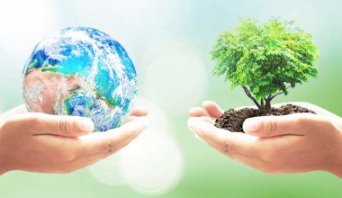 ललितपुरमा विश्व वातावरण दिवस मनाइँयो