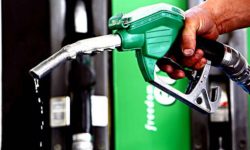 पेट्रोलियम पदार्थको आयात घट्यो