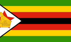 जिम्बाब्वेको राष्ट्रपतीय चुनावमा ११ जना उम्मेदवारले प्रतिस्पर्धा गर्ने