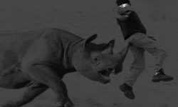 गैँडाको आक्रमणबाट मृत्यु