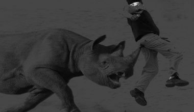 गैँडाको आक्रमणबाट मृत्यु