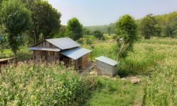 सामुदायिक वनको आम्दानीले विकास निर्माणका काम, तीन प्रतिशत ब्याजमा आयआर्जन कोष सञ्चालन