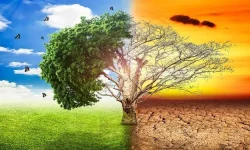 ‘जलवायु परिवर्तनको न्यूनीकरणसँगै अनुकूलित हुनु सिकौँ’