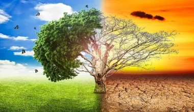 ‘जलवायु परिवर्तनको न्यूनीकरणसँगै अनुकूलित हुनु सिकौँ’