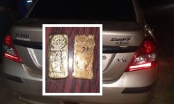 करिब दुई केजी सुनसहित एक जना पक्राउ