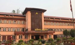 नागरिकता विधेयक प्रमाणीकरणविरुद्धको मुद्दा भट्टराई र रेग्मीको संयुक्त इजलासमा