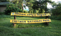 चितवन भित्रिने पर्यटकको संख्या बढ्दै