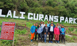 घोडेपानीमा गुराँस ‘पार्क’