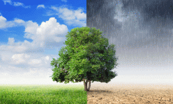 जलवायु वित्तमा सहज पहुँच पाउनुपर्ने