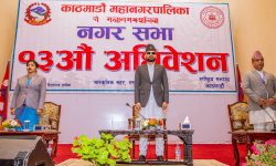 महानगरका नीति तथा कार्यक्रम : मौलिकतासहितका सहरी पूर्वाधार निर्माणमा जोड