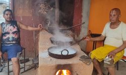 खुवाको ‘हब’ बन्दै चुच्चेखोला