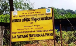 लाङ्टाङ राष्ट्रिय निकुञ्जमा बहुउद्देश्यीय नर्सरी