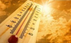 तापक्रम बढ्दा बालीनालीमा असर