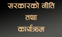 कोशीबाहेक छ प्रदेशका नीति तथा कार्यक्रम सार्वजनिक, के छन् नयाँ कार्यक्रम ?