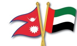 नेपाल र युएईबीच श्रम सम्झौता नवीकरण, घरेलु कामदारमा लैजान युएई इच्छुक