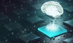 के गर्छ न्यूरालिंकको ब्रेन चिपले ?