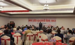 अन्तरप्रदेश मुख्यमन्त्री बैठक पोखरामा सुरु