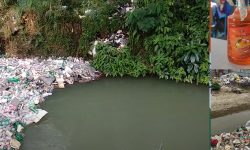 आउनुहोस् प्लास्टिक उत्सव गरौँ