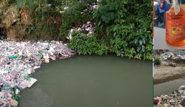 आउनुहोस् प्लास्टिक उत्सव गरौँ