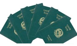 नयाँ राहदानी लिनेको सङ्ख्या महिनैपिच्छे बढ्दै