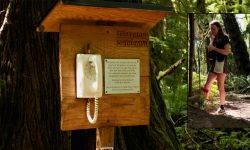 मृत प्रियजनहरूसँग ‘वार्ता’ गर्न फोन