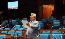 सांसद आलेको व्यङ्ग्य : तार काट्ने मुसा पशुपतिनाथ छिरेको हो ?