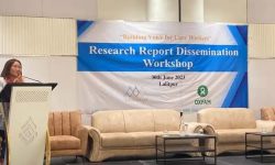 घरेलु तथा अवैतनिक कामदारसम्बन्धी अध्ययन प्रतिवेदन सार्वजनिक