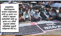 सामुदायिक विद्यालयका ३५ हजार कर्मचारी आन्दोलित