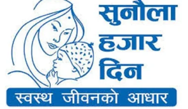 सुनौला हजार दिनमा आमालाई उन्नत जातका कुखुरा