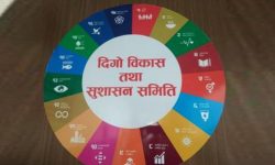 गोलभेँडा सडकमा फालिएको विषयमा छानबिन गर्न समितिको निर्देशन