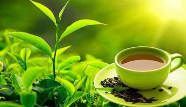 सहकारीले ल्यायो आफ्नै ‘ब्रान्ड’को सिटिसी चिया