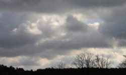 मनसुन भित्रिन अनुकूल वातावरण बन्दै