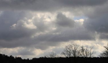 मनसुन भित्रिन अनुकूल वातावरण बन्दै