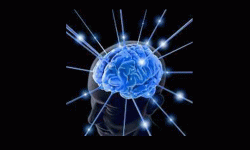 बहुभाषी व्यक्तिको स्मरणशक्ति र मानसिक अवस्था राम्रो