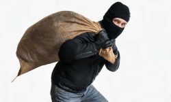 गरगहनासहित ३० लाख बराबरको धनमाल चोरी